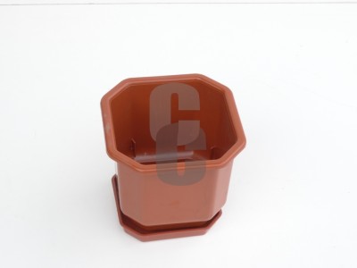 Нови предложения Саксия Дрина 16-16                                                                                                                                                                                                                                                                                          